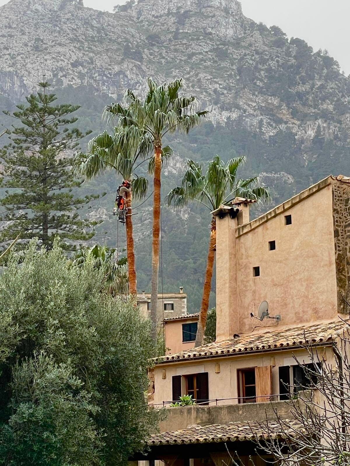 Jardín mediterráneo destacado en Deià mantenido por TerraLuxe Gardens en la Tramuntana de Mallorca